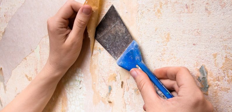 How to remove wall paint? With general considerations