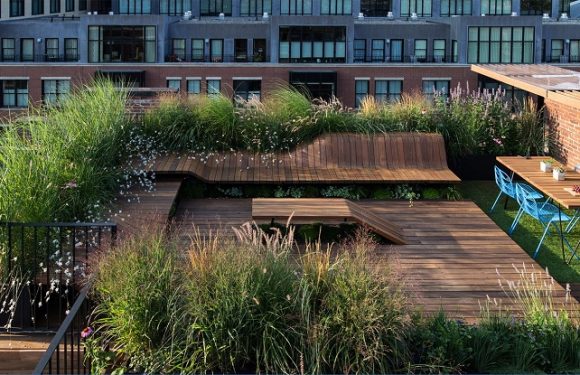 7 rooftop garden benefits that correct your illusion