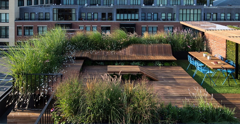 7 rooftop garden benefits that correct your illusion - Decor Ideas