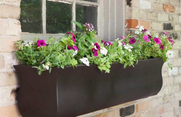 Most Loved Outdoor Window Planters