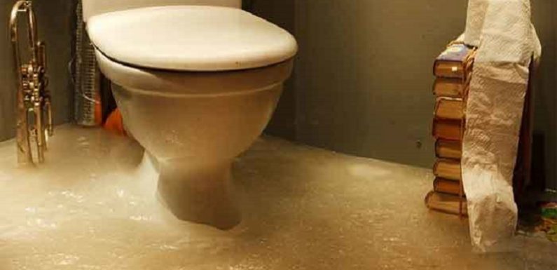 Overflowing toilet with poop: How to fix it? 6 ways
