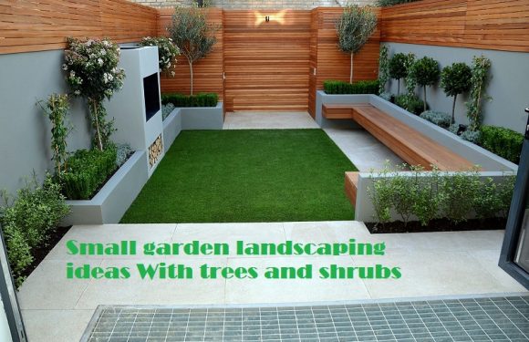 Small garden landscaping ideas with perfect trees and shrubs
