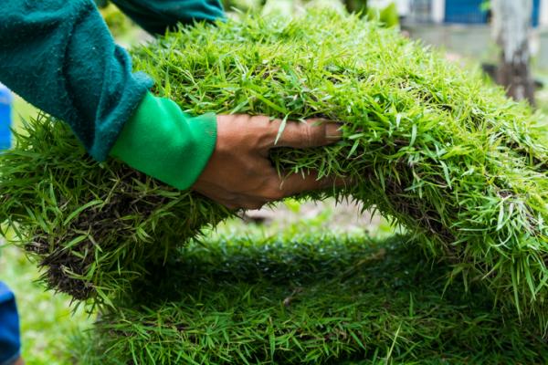 How to clean artificial turf