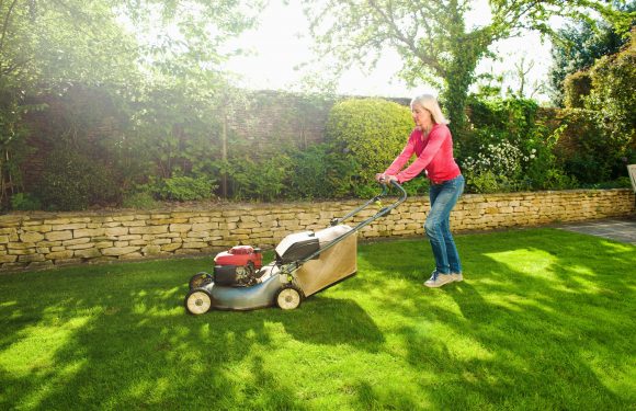 Benefits of Cutting the Grass Regularly