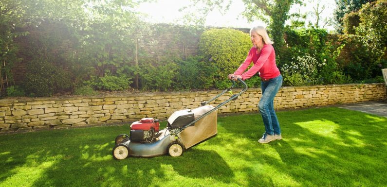 Benefits of Cutting the Grass Regularly