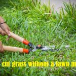 How to cut grass without a lawn mower
