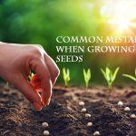 common mistakes when growing seeds