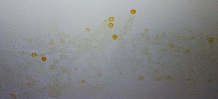 How To Fix Yellow Drips On Walls And Ceilings - Yellow Liquid On Bathroom Walls