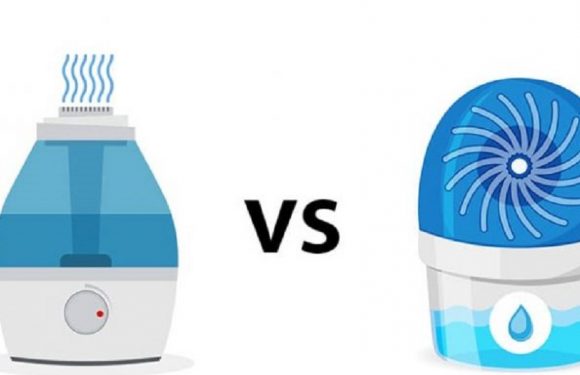 Humidifier vs dehumidifier: What are the differences?