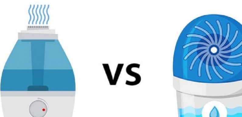 Humidifier vs dehumidifier: What are the differences?