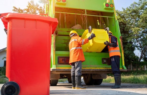 What Should You Look for in a Junk Removal Company?