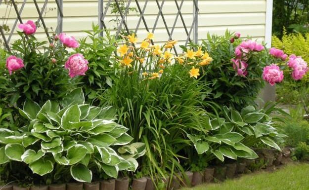 Unique Flower Garden Ideas for Spring