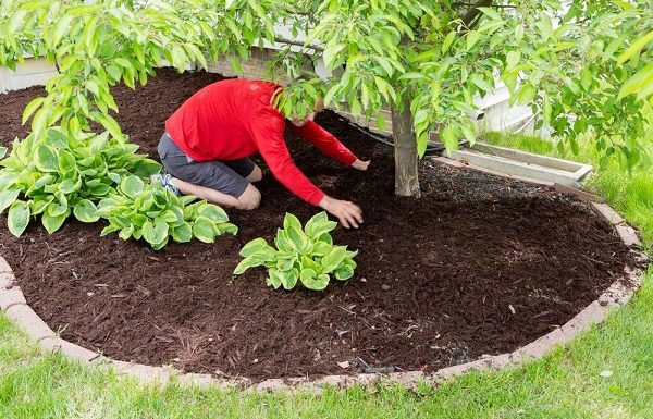 How To Install Mulch On Rocks
