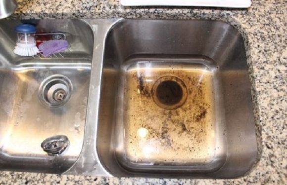 How to Clear a Clogged Kitchen Sink with Garbage Disposal