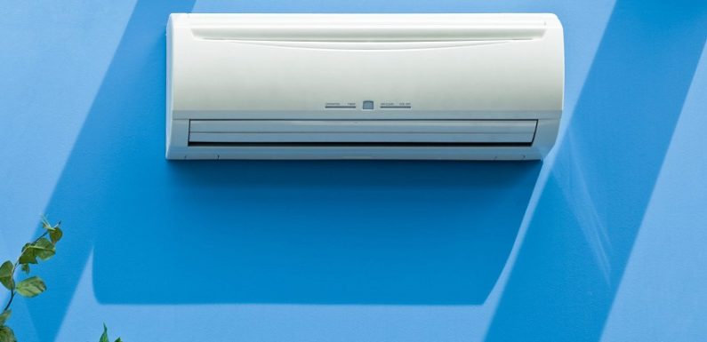 Which Air Conditioners Are Best For A Focus On Green Living?