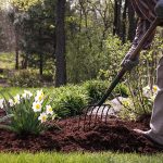 landscaping spring clean up checklist
