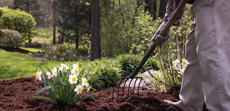 Landscaping Spring Clean Up Checklist For Gardeners