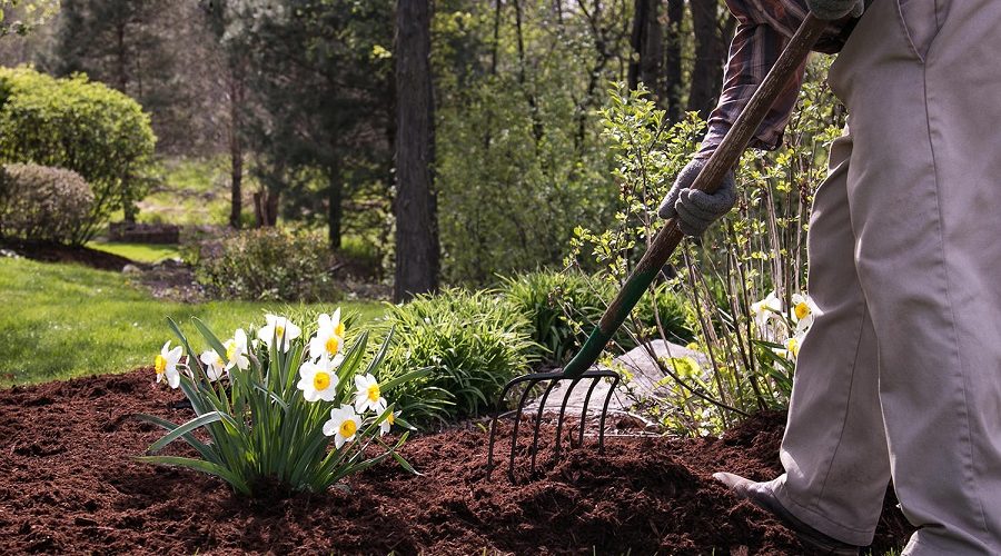 Landscaping Spring Clean Up Checklist For Gardeners