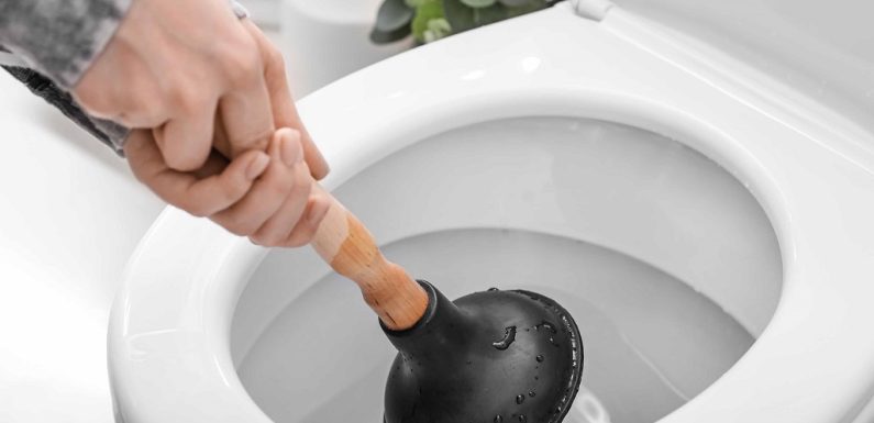 How to Unclog a Toto Toilet?
