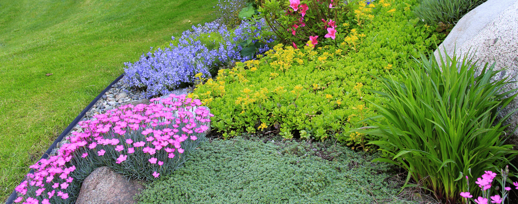 The Aesthetics of Ground Cover