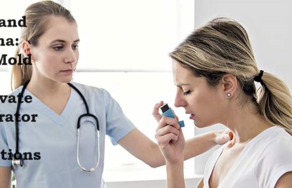 Mold and Asthma: How Mold Can Aggravate Respiratory Conditions