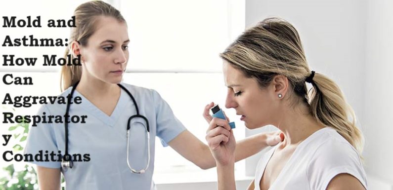 Mold and Asthma: How Mold Can Aggravate Respiratory Conditions