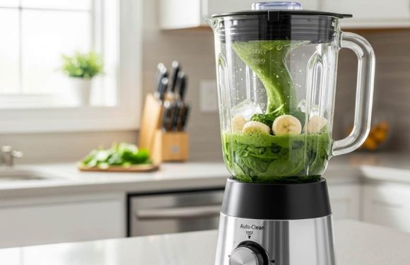 Quick Review: Entry-Level Blenders with Auto-Clean Features for Easy Maintenance
