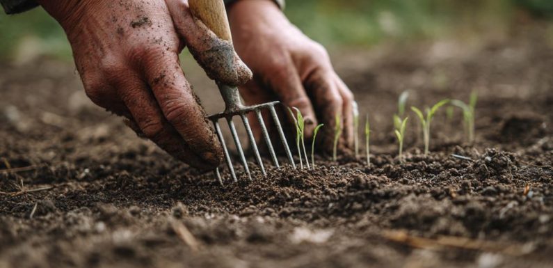 Reversing Soil Crusting After Planting