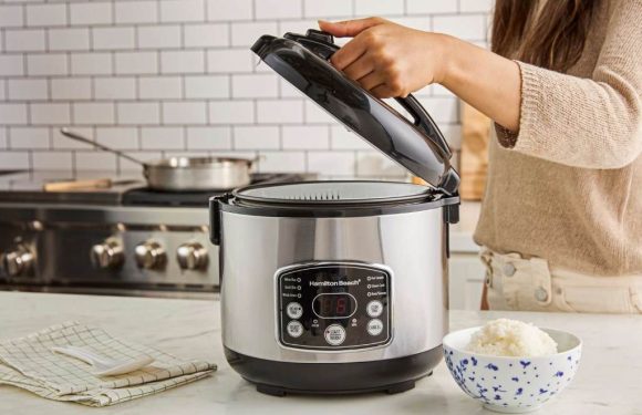 Mini Appliances That Make Life Easier: Dash Rice Cooker Highlight