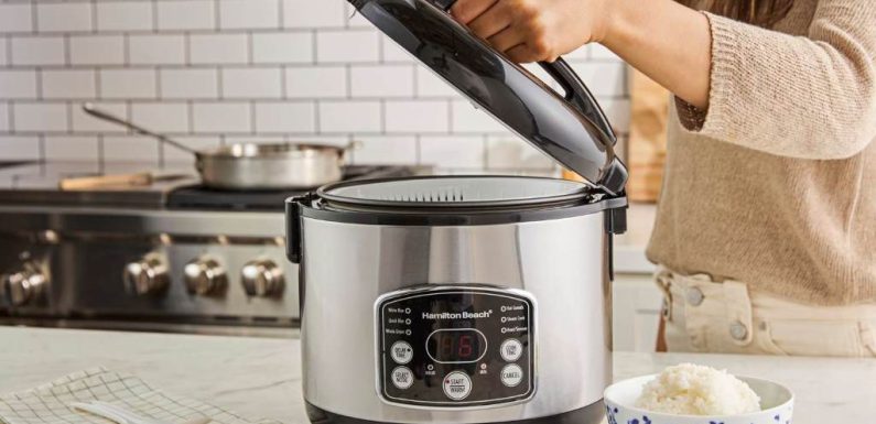 Mini Appliances That Make Life Easier: Dash Rice Cooker Highlight