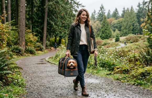 How to Pick a Premium Pet Carrier in Washington