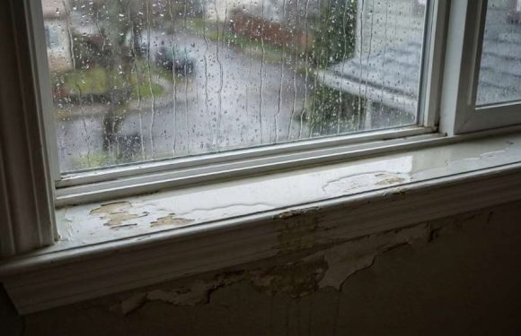 How to Stop Window Leaks in Seattle, WA