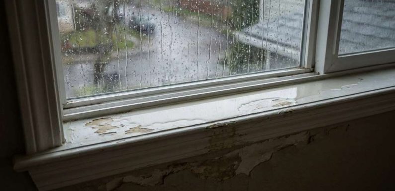How to Stop Window Leaks in Seattle, WA